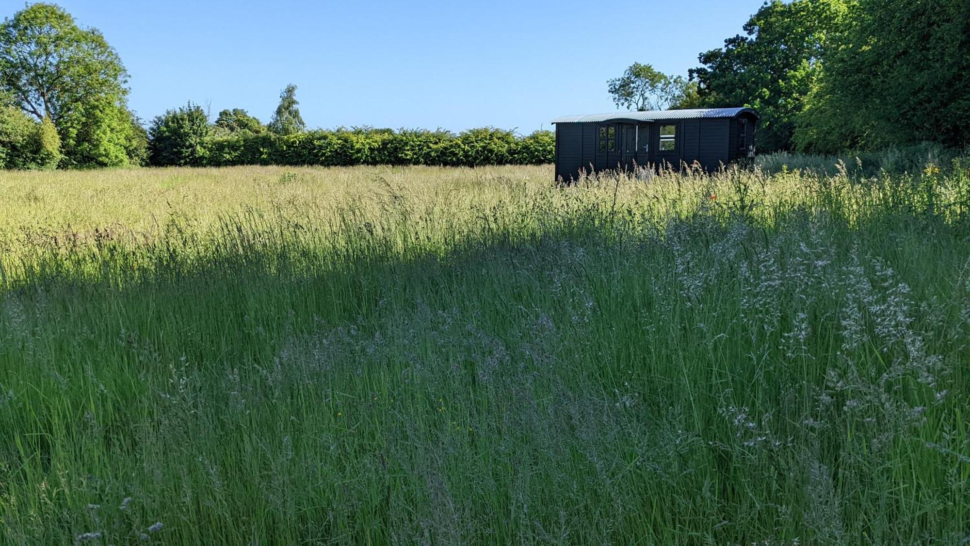 Blue Sky Huts Hotel Chediston Bagian luar foto