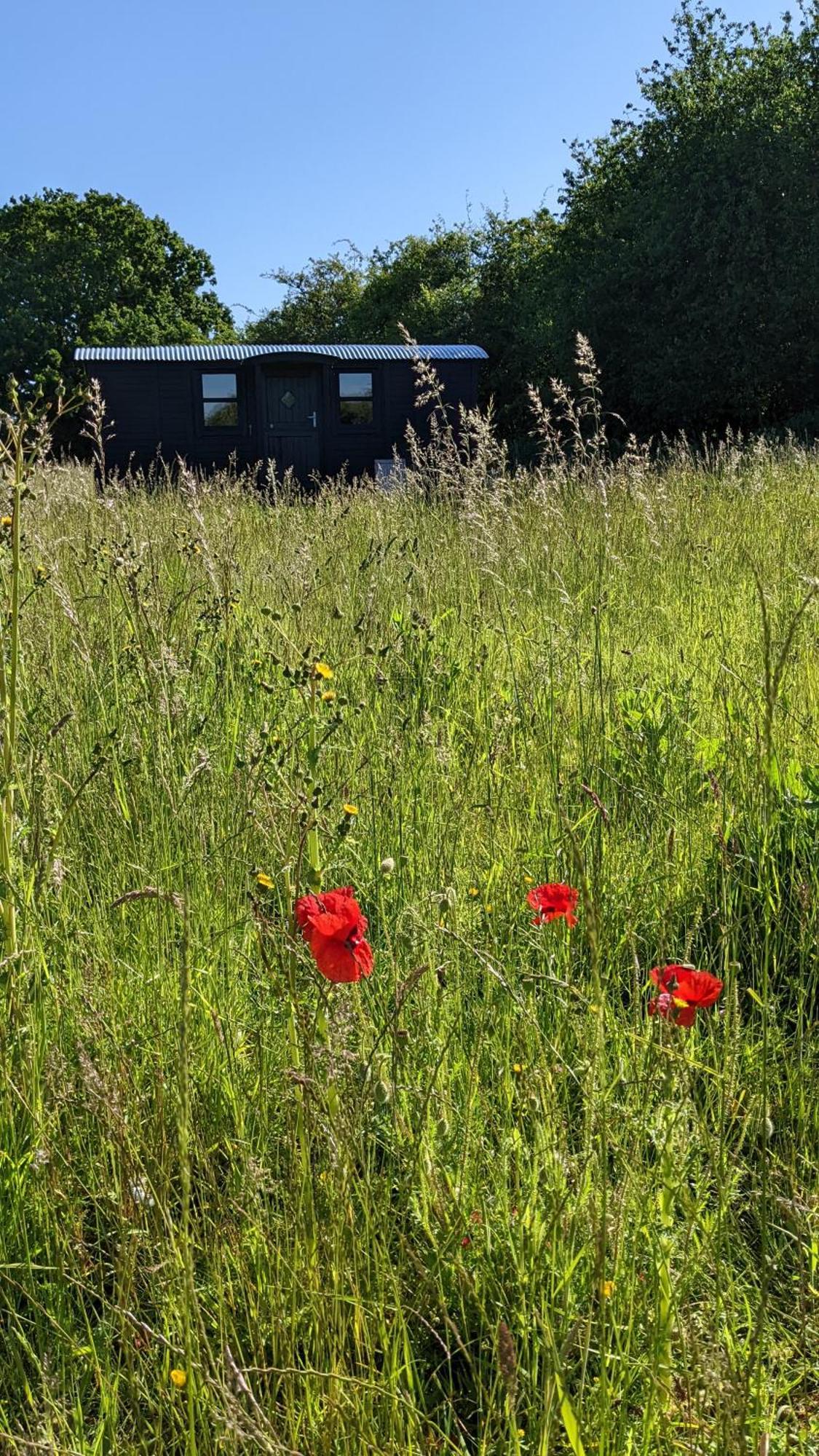 Blue Sky Huts Hotel Chediston Bagian luar foto